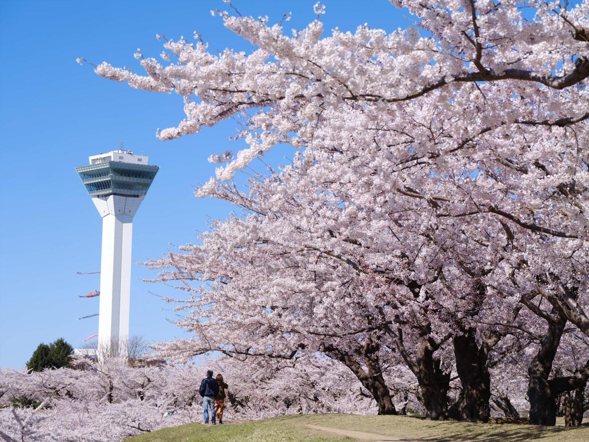 Gran Palette Hakodate Kültér fotó